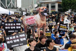 Hàn Quốc: Lời dọa thả gần 2 triệu con chó gần cơ quan chính phủ