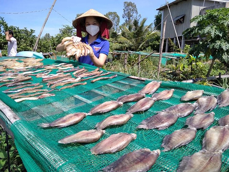 Cuối tháng 10 vừa qua, 20 tấn sản phẩm cá thát lát Hậu Giang vừa được xuất khẩu sang thị trường Mỹ
