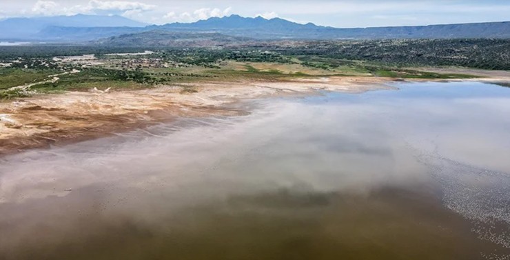 Hồ Natron (Tanzania): Hồ Natron ở Tanzania còn được gọi là hồ hóa đá vì nó có khả năng biến chim thành "đá". Nhiệt độ nước có thể đạt tới 60°C&nbsp;và độ pH của nó là 10,5, cao gần bằng amoniac. Nước ăn da đến mức có thể làm bỏng da và mắt của những động vật không thích nghi với nó. Hàm lượng natri cacbonat cao cũng hoạt động như một chất bảo quản, khiến chim, dơi và các động vật khác chết trong vùng nước này gần như được ướp xác. Tuy nhiên, hồ này là nơi sinh sản an toàn của đàn hồng hạc.
