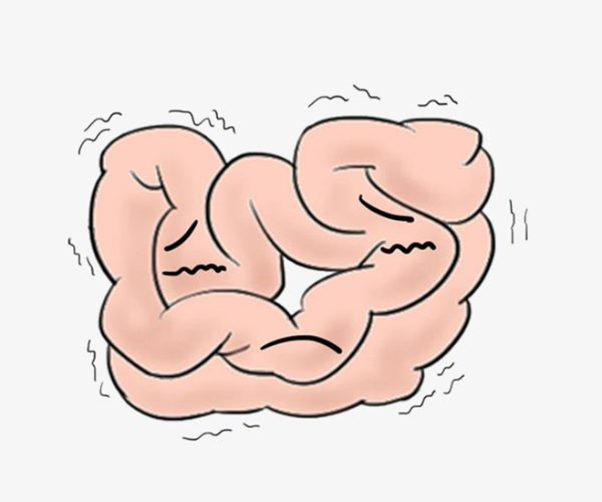 “Ăn không no, ngủ không yên” vì đại tràng co thắt, hội chứng ruột kích thích tái phát - 1