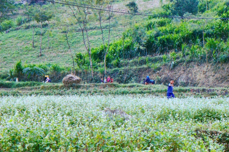 Chuyến phượt Hà Giang tự túc 4 ngày 4 đêm bằng xe máy - 8