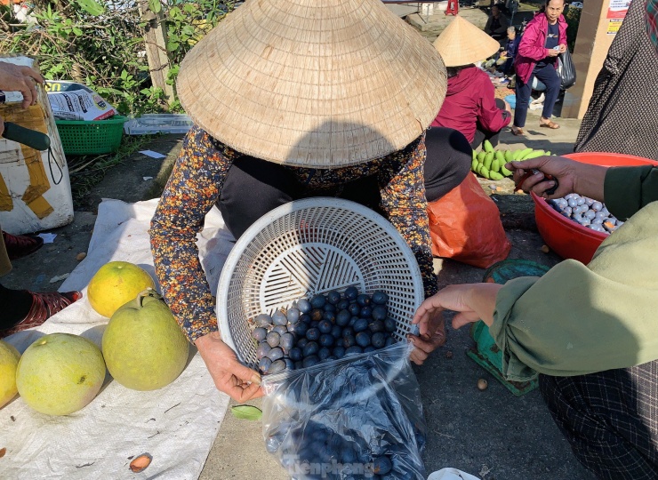 Bà Nguyễn Thị Lan (56 tuổi, trú huyện Hương Sơn) cho biết, những năm trước với 7 gốc cọ thu hoạch được khoảng 4 tạ quả, thu về trên 3 triệu đồng. Năm nay thương lái về hái và thu mua tại vườn nên dân cũng rất phấn khởi.