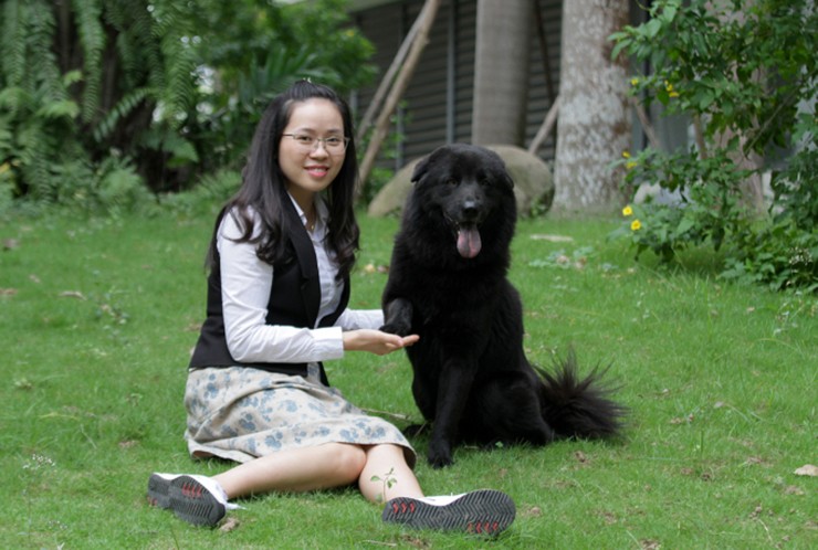 Tháng 4/2021, chị Lê Thị Hà (33 tuổi, Hà Nội) đã chi 75 triệu đồng để sở hữu bằng được chú chó có tên là Tam Mao ngay trong lần gặp đầu tiên. Mức giá được xem như cao nhất trong dòng chó này từ trước tới nay
