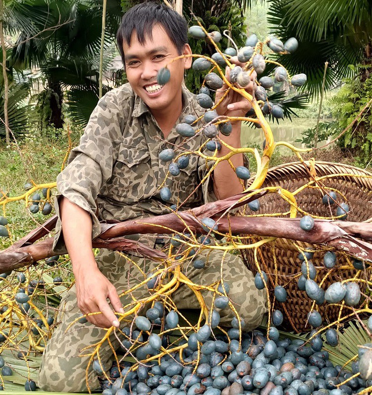 Mỗi cân quả cọ anh Linh bán với giá 110 nghìn đồng.