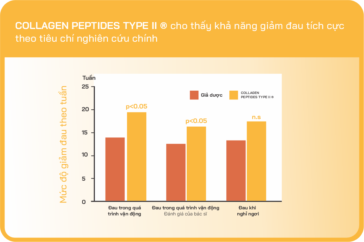 Collagen peptide type II - Giải pháp mới trong cải thiện viêm khớp, thoái hoá khớp - 2
