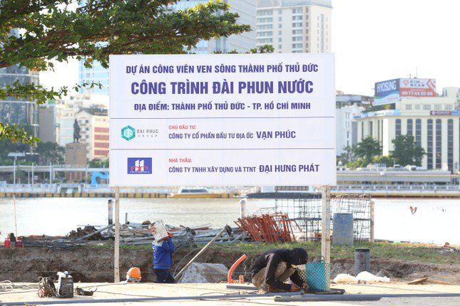 Những đóa hướng dương đầu tiên bên bờ sông Sài Gòn đã bung nở - 13