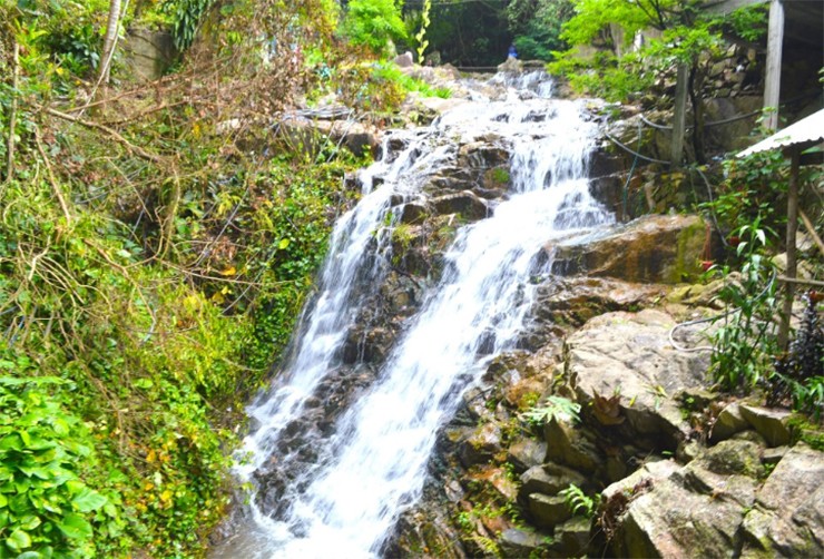 Những dòng suối trong mát, rì rào trên núi Cấm (xã An Hảo, huyện Tịnh Biên, tỉnh An Giang) là nơi trú ngụ của một loài cá nghe tên vô cùng lạ, đó là cá chành dục
