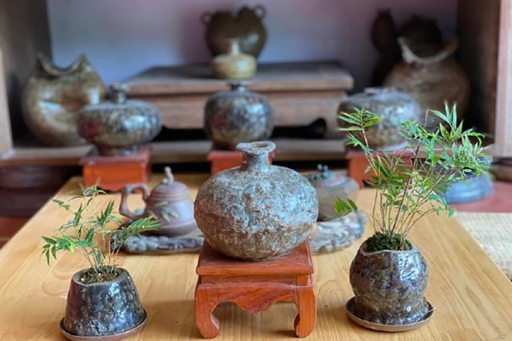 Những chậu bonsai tre mini thích hợp trang trí trên bàn trà, bàn làm việc hay bậu cửa sổ
