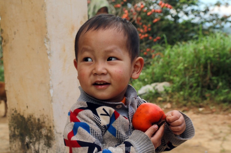 Hồng cũng là món ăn ưa thích của những đứa trẻ người Mông nơi đây.