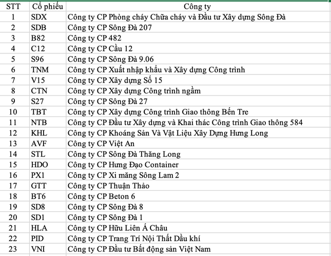 Hẩm hiu cổ phiếu 'vua cá tra' và bài học 'vung tay quá trán' - 2