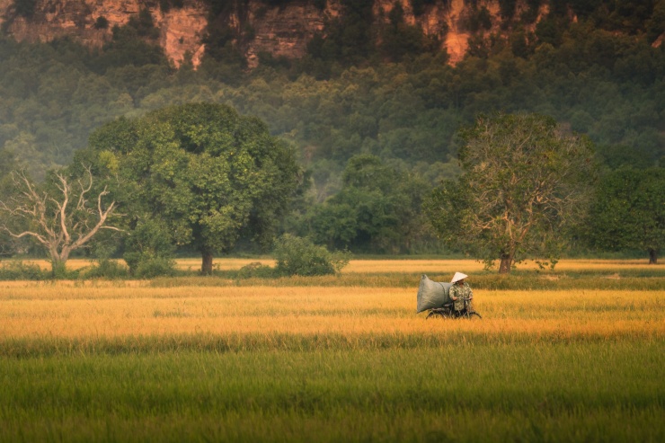 Sắc màu Tà Pạ - 8