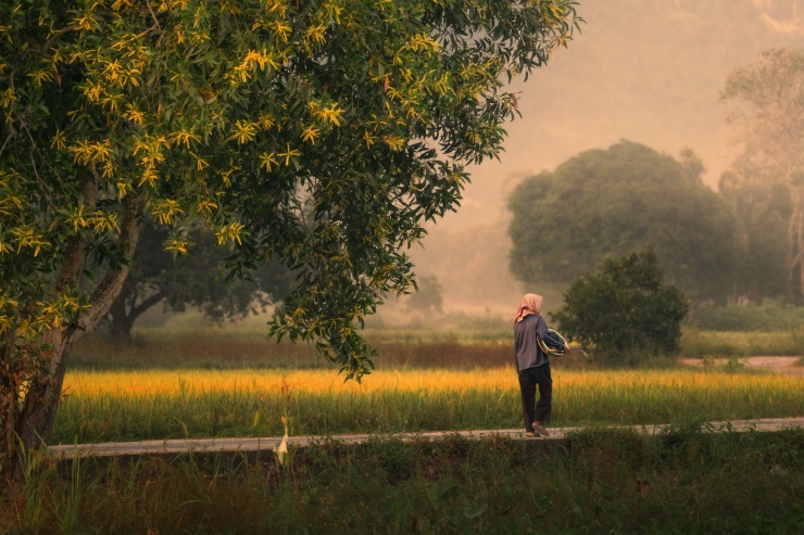 Sắc màu Tà Pạ - 9