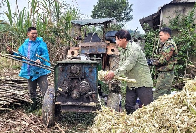 Nhằm giảm bớt sức lao động, người dân xã Thọ Điền sử dụng máy ép để nâng cao hiệu quả sản xuất.