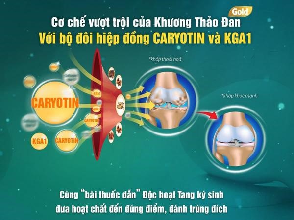 Vỡ oà vì giải pháp từ viện Hàn Lâm giúp giảm đau nhức, thoái hoá xương khớp cực nhạy - 3