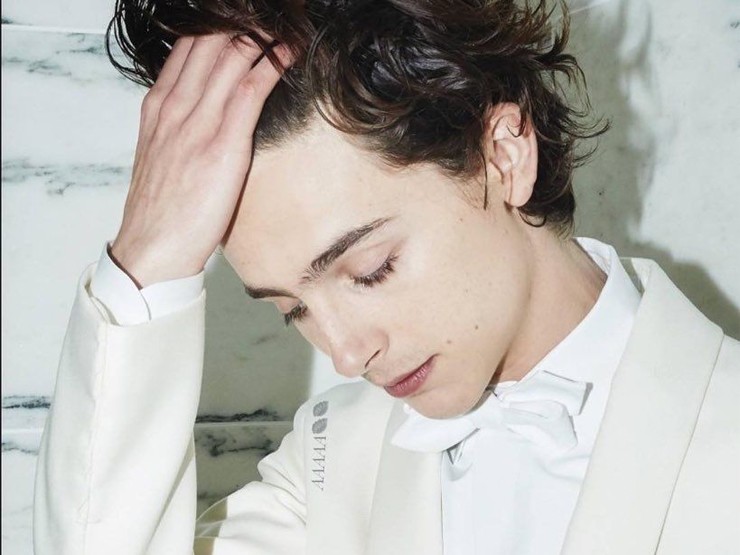 Timothée Chalamet sinh năm 1995, tại&nbsp;Manhattan (New York).
