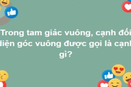 Nắm trong tay kiến thức cổ kim mới trả lời được hết toàn bộ câu hỏi này