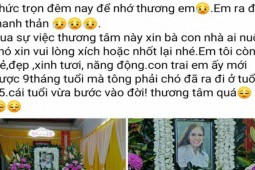 Xót xa người phụ nữ trẻ tử vong vì tông trúng chó thả rông