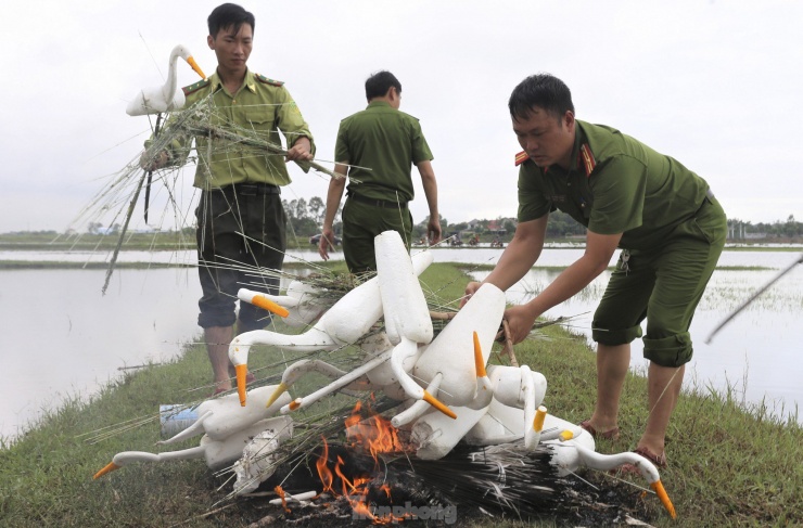 Cận cảnh “ma trận” bẫy chim trời ở Hà Tĩnh.