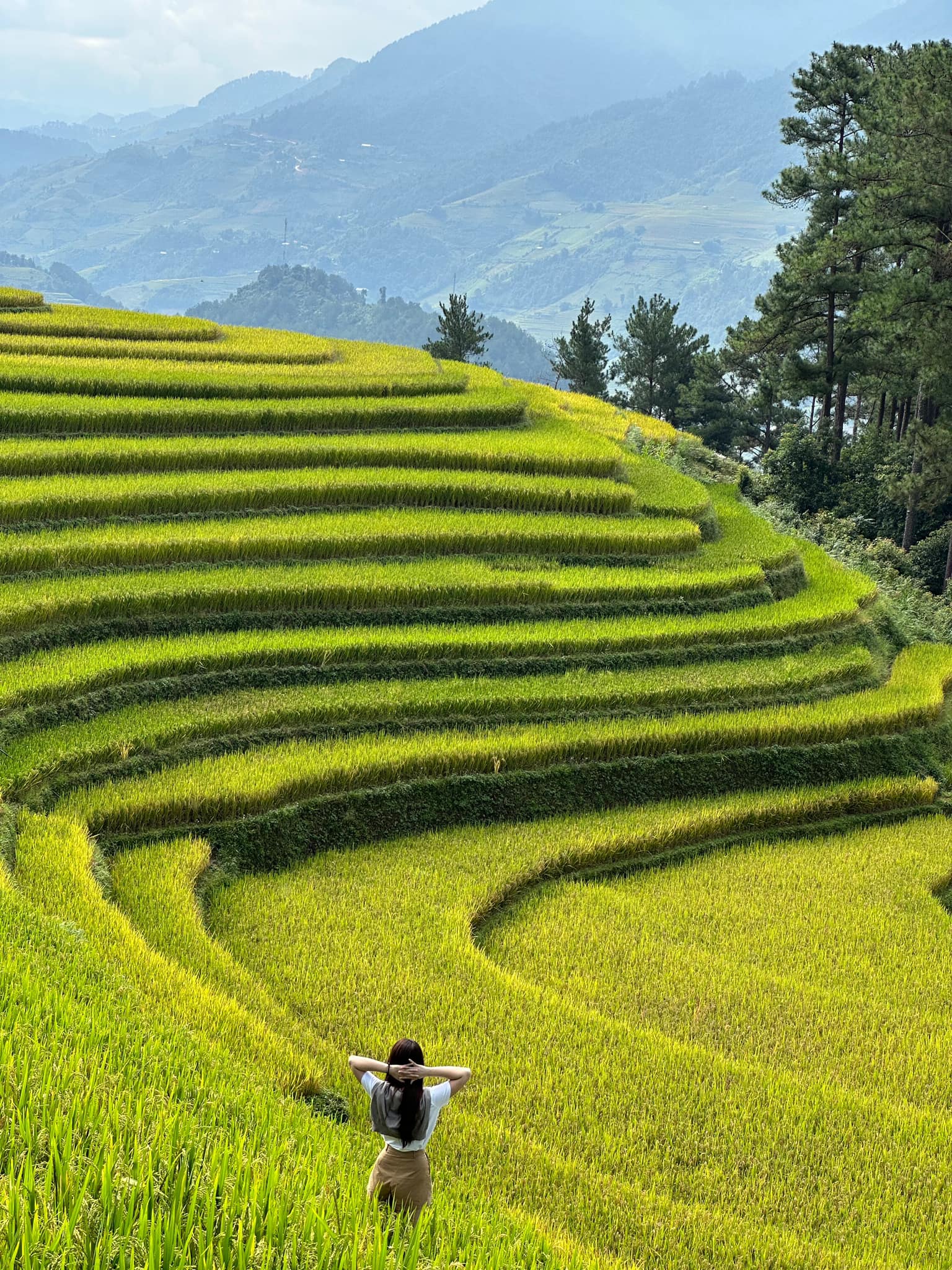 Ngắm vẻ đẹp siêu thực của Mù Cang Chải dưới chân dãy Hoàng Liên Sơn hùng vĩ