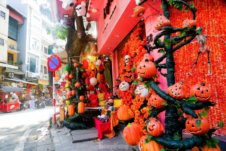 Phố Hàng Mã thay áo mới, ngập tràn màu sắc 'ma mị' đón Halloween - 5