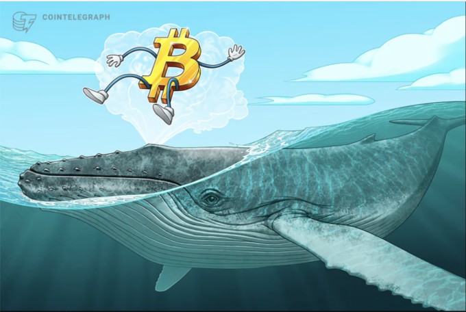 Minh họa ví cá voi Bitcoin. Nguồn: Cointelegraph