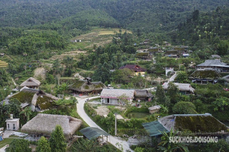 Ẩn mình dưới dãy núi Tây Côn Lĩnh (thôn Xà Phìn, xã Phương Tiến, Vị Xuyên, Hà Giang) nằm ở độ cao gần 1.000 mét so với mực nước biển, khí hậu mát mẻ quanh năm, sương mù và độ ẩm cao khiến những ngôi nhà sàn lợp mái cọ được phủ xanh rì, đẹp như một bức tranh giữa núi rừng.