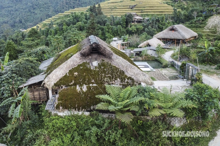 Vào mùa nước đổ hoặc lúa chín, du khách có thể chiêm ngưỡng vẻ đẹp của ruộng bậc thang và những ngôi nhà mái rêu. Tất cả tạo nên vẻ cổ kính, thanh bình, một nét đẹp riêng có nơi này.