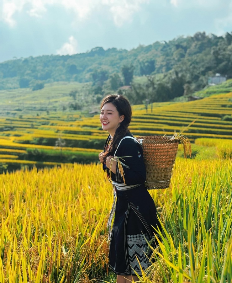 Hương lúa chín thoang thoảng trong gió, khung cảnh Hồng Thái bừng sáng giữa mùa vàng.