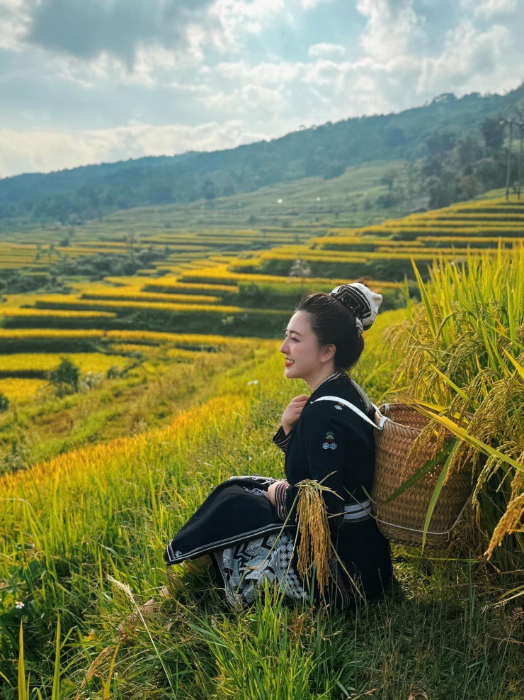 Vẻ đẹp hoang sơ nhưng không kém phần rực rỡ của mùa vàng Hồng Thái.