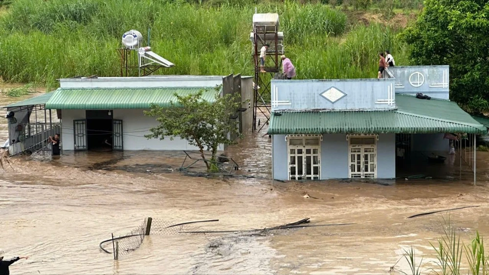 Mưa lớn gây ngập cục bộ tại huyện Đức Trọng, người dân lên mái nhà trú ngụ