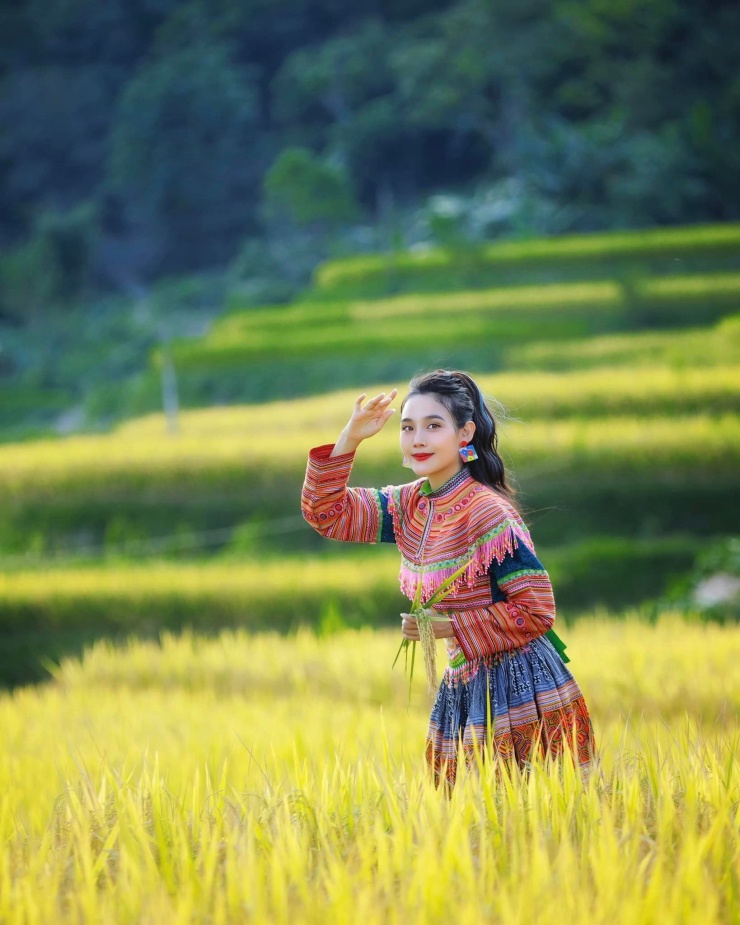 Tìm về thiên nhiên rực rỡ sắc màu ở mảnh đất ‘đá nở hoa’ 4 Ruộng bậc thang uốn lượn tạo nên bức tranh mùa vàng sống động.