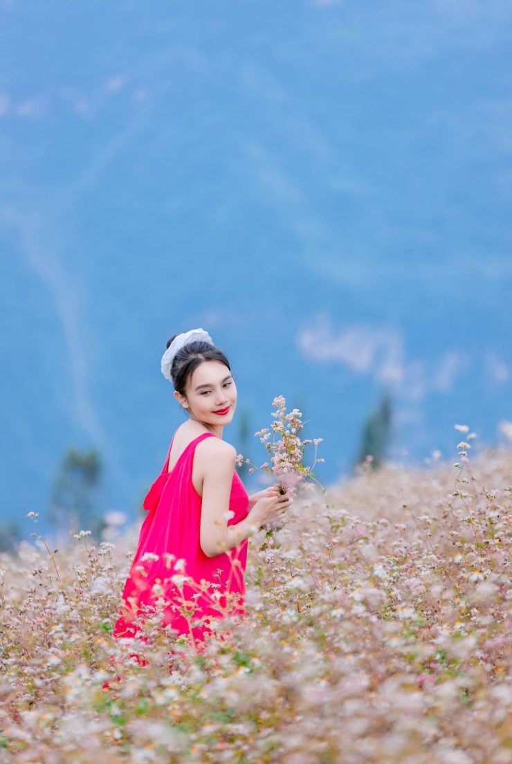 Tìm về thiên nhiên rực rỡ sắc màu ở mảnh đất ‘đá nở hoa’ 7 Hà Giang có nhiều loài hoa rực rỡ sắc màu.