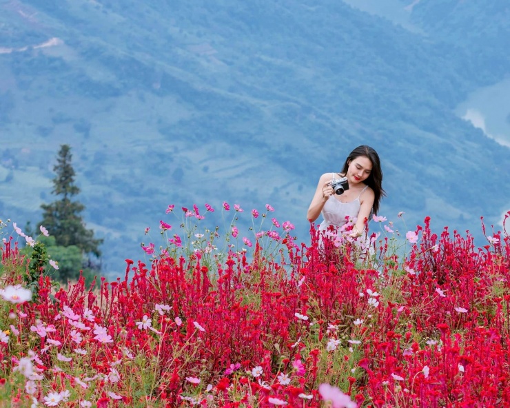 Tìm về thiên nhiên rực rỡ sắc màu ở mảnh đất ‘đá nở hoa’ 6 Nữ du khách thích thú lưu lại những tấm ảnh xinh.