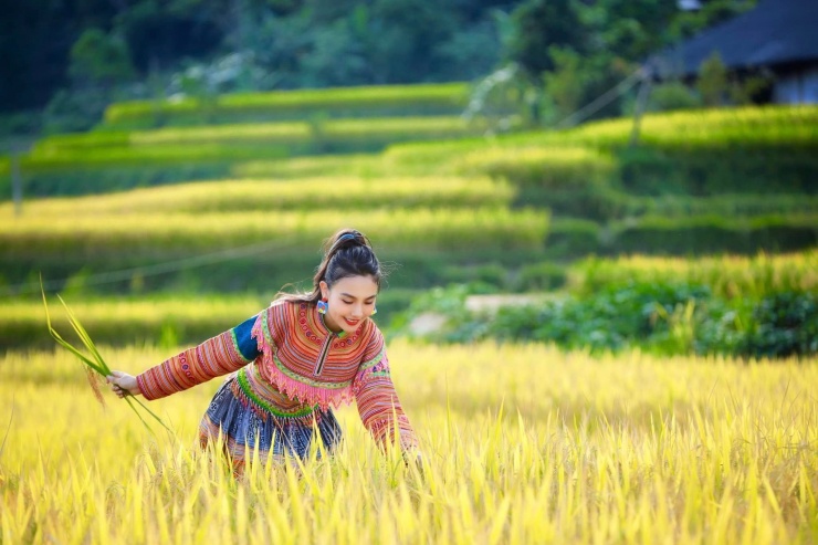 Tìm về thiên nhiên rực rỡ sắc màu ở mảnh đất ‘đá nở hoa’ 12 Khung cảnh mùa vàng trải dài bất tận trên các sườn núi cao.