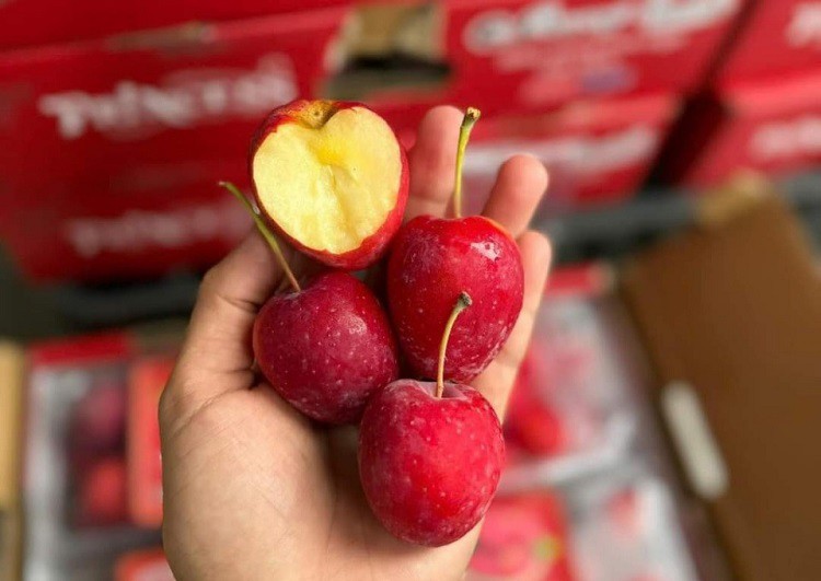 Táo cherry có hình dáng và màu sắc khá đẹp, bắt mắt nên được nhiều người mua về ăn thử.