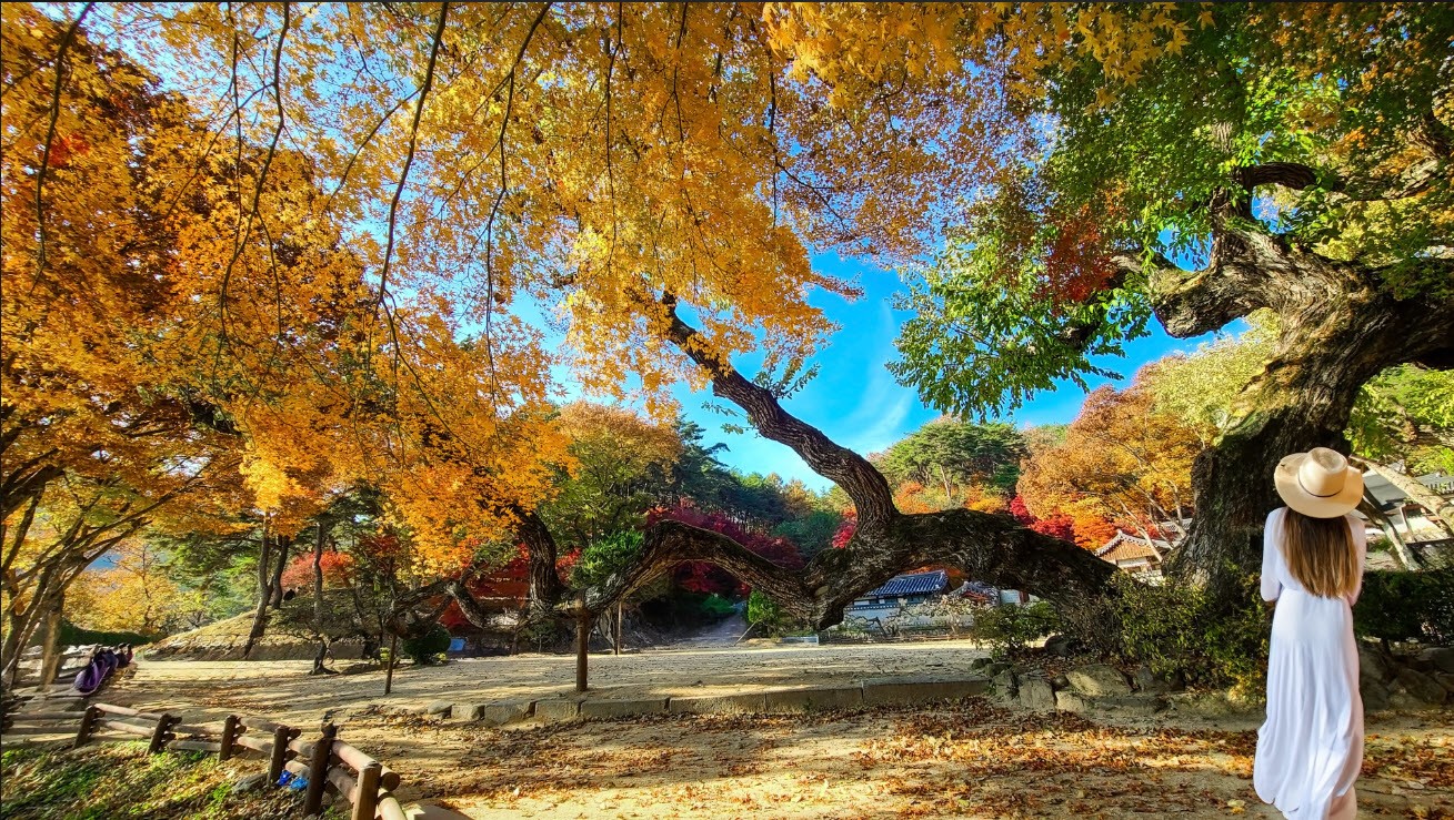 Đến đây, du khách có thể tham quan các di tích lịch sử, tham gia các hoạt động trải nghiệm văn hóa như: học cách làm đồ gốm, làm quạt truyền thống hoặc thưởng thức các món ăn đặc sản địa phương.