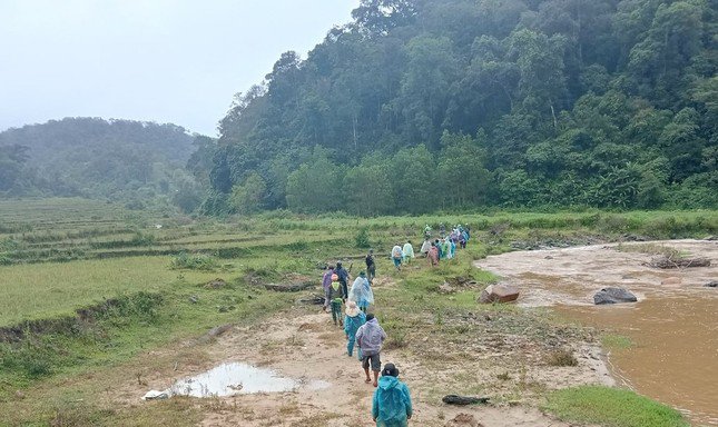 Nỗ lực phi thường: Hơn 100 người chung tay tìm kiếm người phụ nữ đi lạc trong rừng 4 ngày