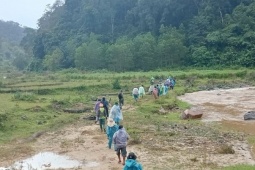 Nỗ lực phi thường: Hơn 100 người chung tay tìm kiếm người phụ nữ đi lạc trong rừng 4 ngày