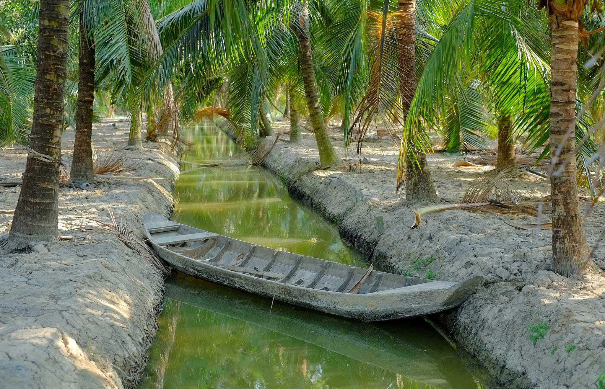 Và có thể trải nghiệm phương tiện di chuyển đặc trưng này&nbsp;để khám phá cuộc sống miền Tây.