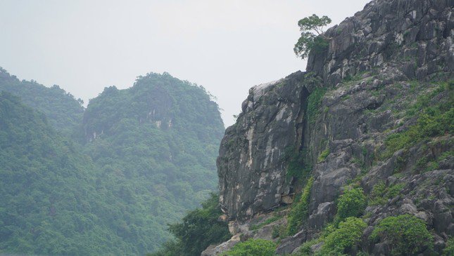 Lực lượng Quân đội thành công phá nổ khối đá 300 tấn đe dọa nhà dân tại Quảng Bình