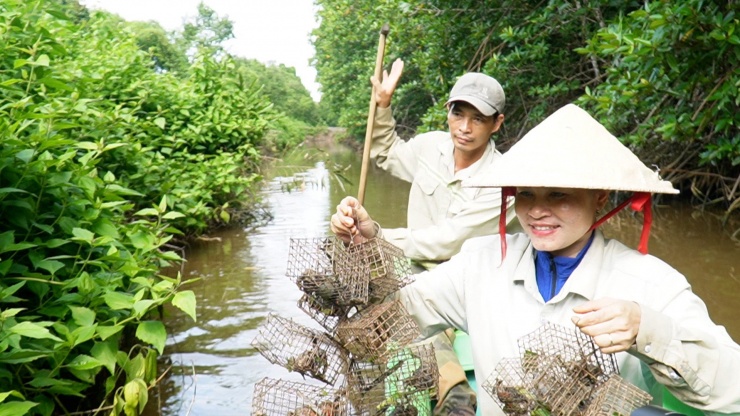 Ông Châu Văn Mười, ngụ xã Tam Giang, huyện Năm Căn (Cà Mau) chia sẻ: “Hồi xưa, ông cha mình kêu con chù ụ do nhìn thấy mình nó có gai, sần sùi. Khi bị bắt, nó cúm lại, mặt ngầu hơn con ba khía”.