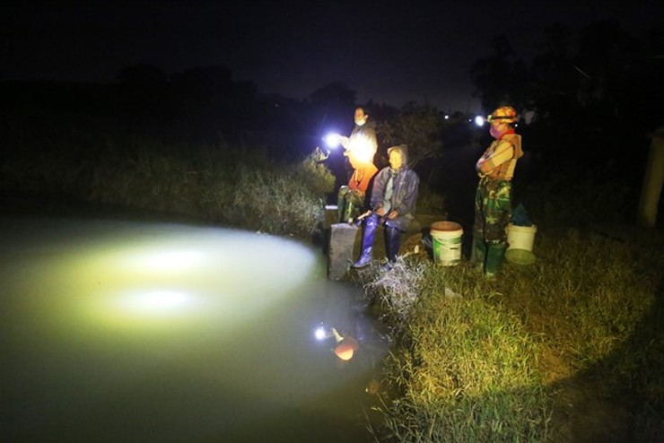 Màn đêm buông xuống là lúc họ rọi đèn pin đi vớt &#34;lộc trời&#34; để bán cho thương lái hay các nhà hàng, quán ăn.&nbsp;
