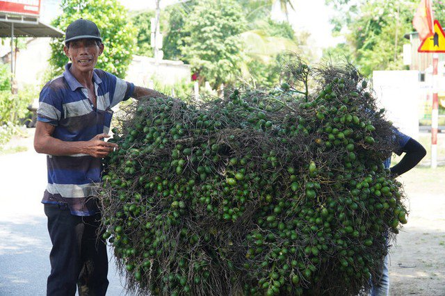 Cau tăng giá kỷ lục, người nông dân được lãi lớn.