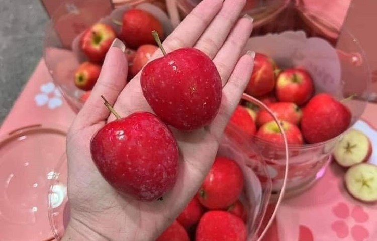 Táo cherry có màu đỏ, đẹp đang được nhiều người quan tâm thời gian gần đây.