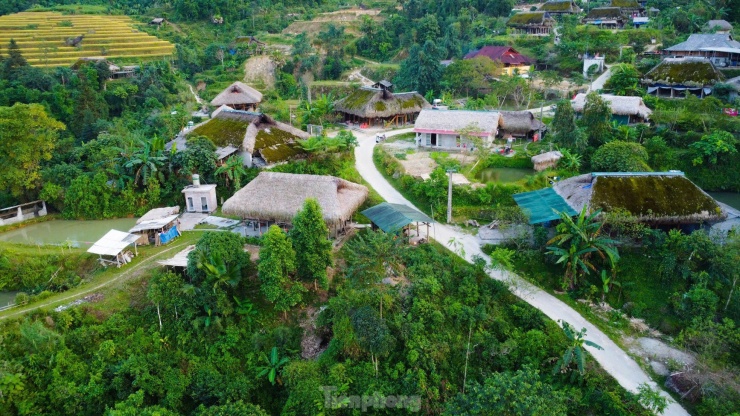 Hiếm có, khó tìm những mái nhà rêu phong biết &#39;biến hình&#39; - 1