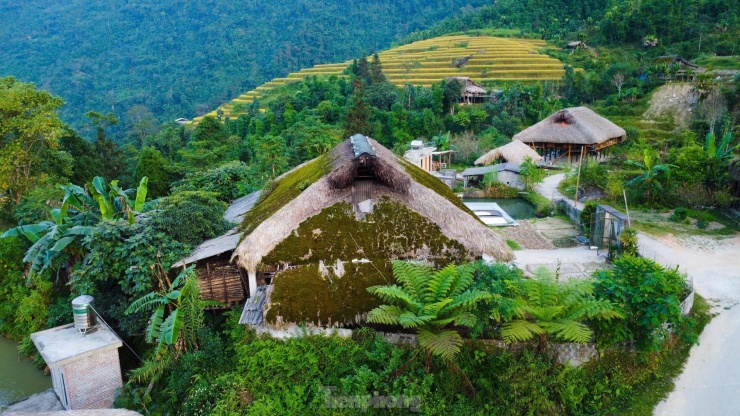 Hiếm có, khó tìm những mái nhà rêu phong biết 'biến hình' - 4