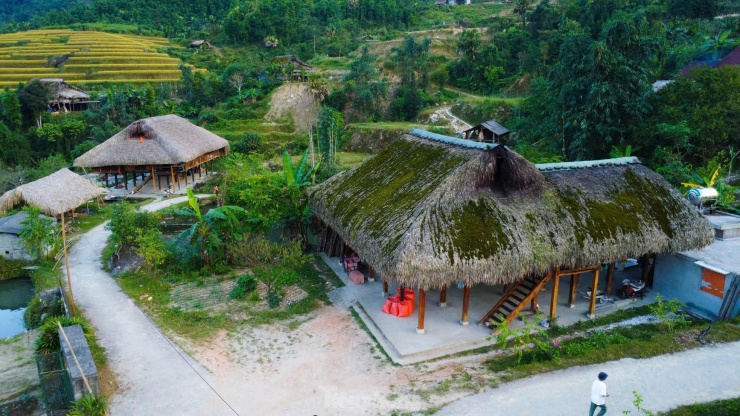 Hiếm có, khó tìm những mái nhà rêu phong biết 'biến hình' - 2