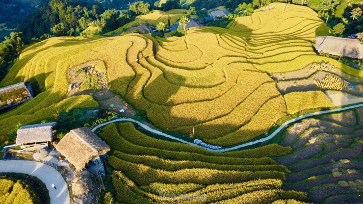 Hiếm có, khó tìm những mái nhà rêu phong biết &#39;biến hình&#39; - 13