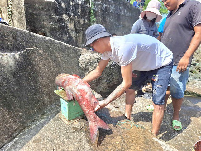 Niềm vui đánh bắt cá trở lại khi Thủy điện Trị An ngừng xả tràn, tụ tập hàng trăm người