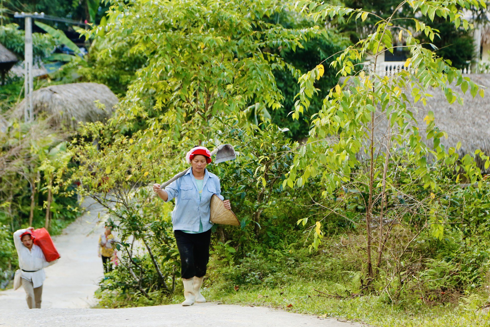 Hiếm có, khó tìm những mái nhà rêu phong biết &#39;biến hình&#39; - 7